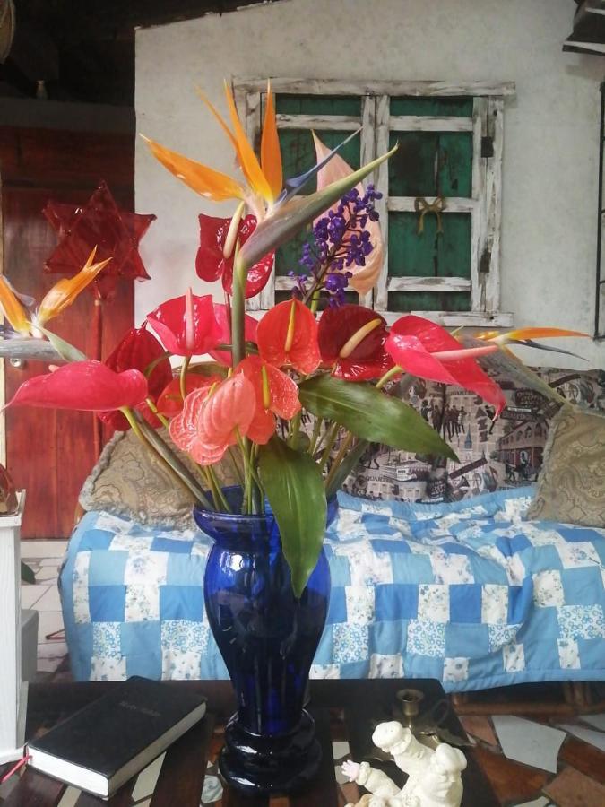 Portal De Los Farolitos Concepción de Ataco Kültér fotó